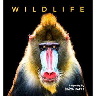 9781760796358 野生动物 预订 Wildlife