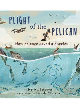 预订 Plight of the Pelican: How Science Saved a Species: 9780823457038
