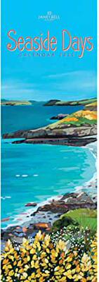 【预订】Seaside Days, Janet Bell Slim Calendar 2022 9781529813425