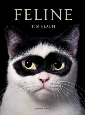 预售 猫之书 猫科动物 摄影集 Tim Flach 当代动物摄影大师 英文原版 蒂姆·弗拉克 天马 圣犬 濒危 Feline: Photographs