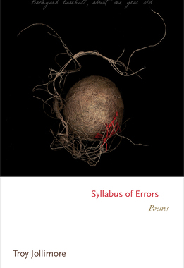 【预订】Syllabus of Errors