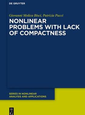 [预订]Nonlinear Problems with Lack of Compactness 9783110648867