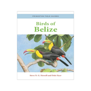[预订]Birds of Belize 9780691220727