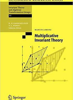 【预订】Multiplicative Invariant Theory 9783642063589