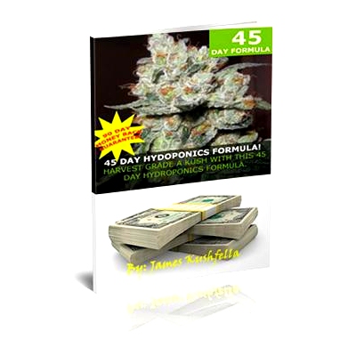 预订 45 Day Hydroponic Formula: 9781480202511