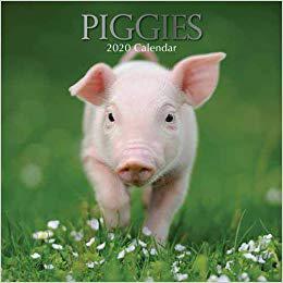 【预售】Piggies : 2020 Square Wall Calendar
