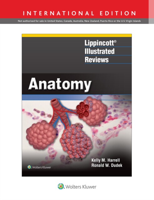 【预订】Lippincott Illustrated Reviews