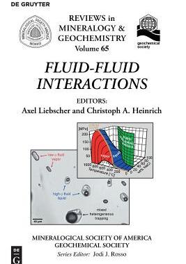 【预订】Fluid-Fluid Interactions 9780939950775