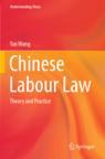 [预订]Chinese Labour Law