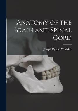 [预订]Anatomy of the Brain and Spinal Cord 9781016580830