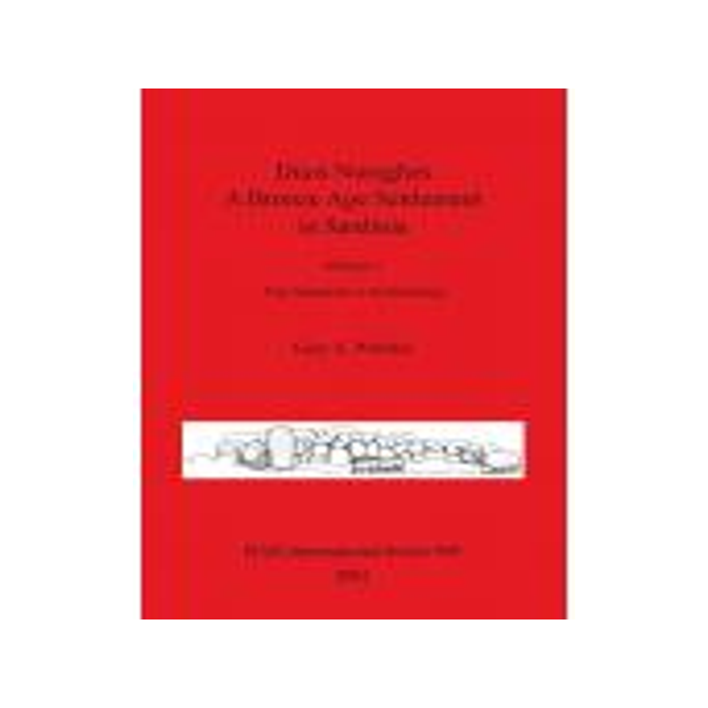 [预订]Duos Nuraghes - A Bronze Age Settlement in Sardinia 9781841712413