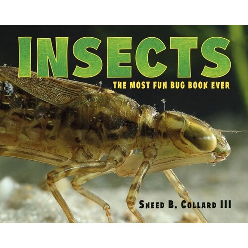 预订 Insects: The Most Fun Bug Book Ever: 9781580896429