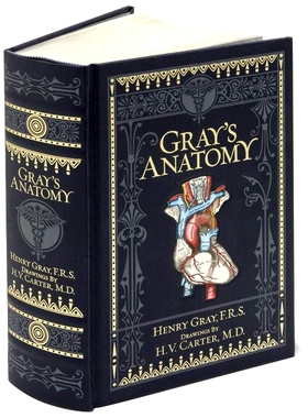 预售 巴诺经典 皮革精装版 格式解剖 英文原版 Gray's Anatomy (Barnes & Noble Collectible Editions)
