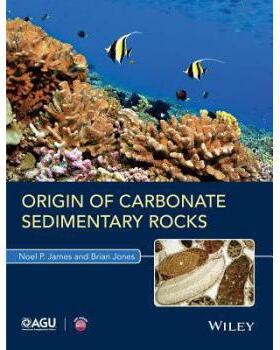 【预订】Origin Of Carbonate Sedimentary Rocks 9781118652701