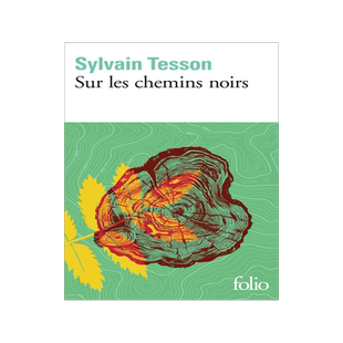 法语原版 走在幽暗的小径上 西尔万·泰松 龚古尔文学奖作者 Sur les chemins noirs Sylvain Tesson