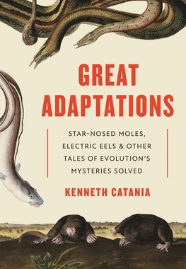 【预订】Great Adaptations: Star-Nosed Moles, Electric Eels, and Other Tales of Evolution’s Mys 9780691228471