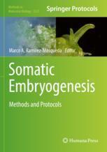 [预订]Somatic Embryogenesis 9781071624876