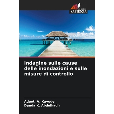 预订 Indagine sulle cause delle inondazioni e sulle misure di controllo: 9786209077388