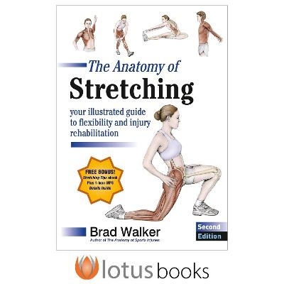 预订 Anatomy of Stretching-2nd Edition-LB, The: Your Illustrated Guide to Flexibility and Injury Rehabilitation 拉伸解剖