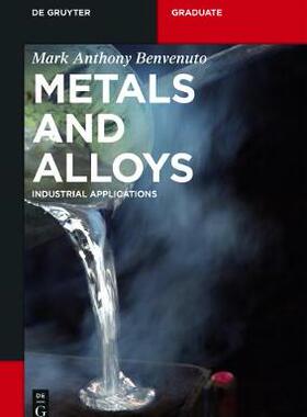 【预订】Metals and Alloys 9783110407846