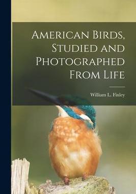 [预订]American Birds, Studied and Photographed From Life 9781017045284