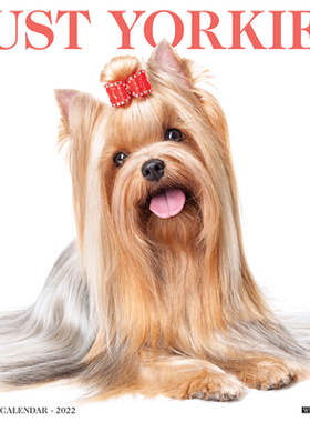 【预订】Just Yorkies 2022 Wall Calendar (Dog Breed) 9781549220265