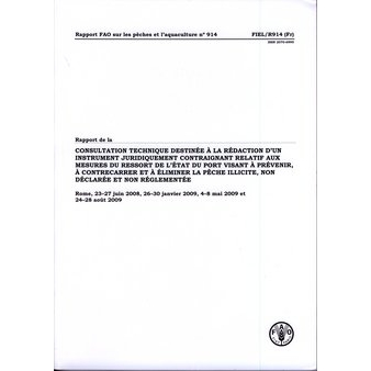 预订 Rapport de La Consultation Technique Destinee a la Redaction D’Un Instrument Juridiquement Contraignant Relatif Au
