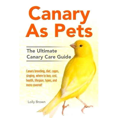 预订 Canary As Pets: Canary breeding, diet, cages, singing, where to buy, cost, health, lifespan, types, and more covere