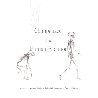 预订 Chimpanzees and Human Evolution 黑猩猩与人类进化: 9780674967953