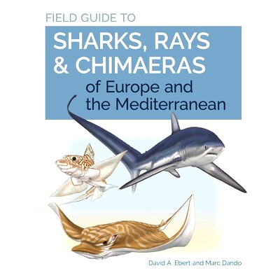 现货 Field Guide to Sharks, Rays & Chimaeras of Europe and the Mediterranean 欧洲和地中海鲨鱼,鳐和银鲛的实地指南: 97806
