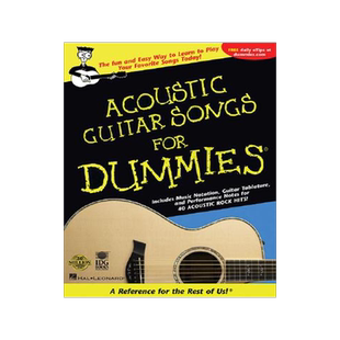 英文原版 傻瓜书：吉他指南 Acoustic Guitar Songs for Dummies