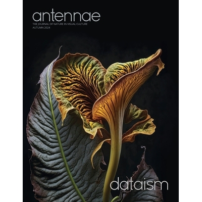 预订 Antennae #65 Dataism 天线#65 数据主义 9798348126186