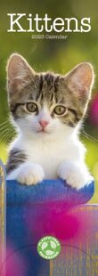 Calendar 9781839419027 Slim 2023 预订 Kittens