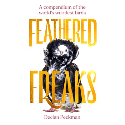 预订 Feathered Freaks: A Compendium of the World’s Weirdest Birds: 9781923049482