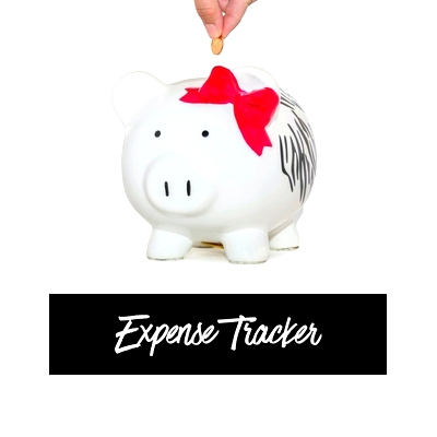预订 Expense Tracker: Track Monthly, Weekly, & Daily Personal Expenses Budget Log, Planner, Organizer, Journal, Spending