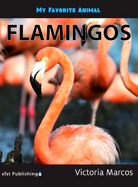 预订 My Favorite Animal: Flamingos: 9781532406171