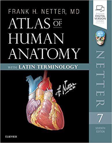 预售 atlas of human anatomy 人体解剖学图谱