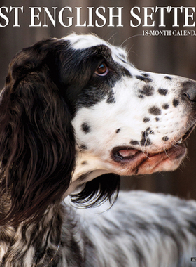 【预订】Just English Setters 2022 Wall Calendar (Dog Breed) 9781549217869