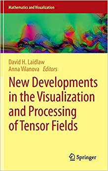 【预订】New Developments in the Visualization and Processing of Tensor Fields 9783642273421