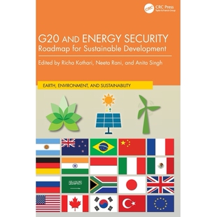预订 G20 and Energy Security: Roadmap for Sustainable Development G20与能源安全：可持续发展路线图: 9781032703978