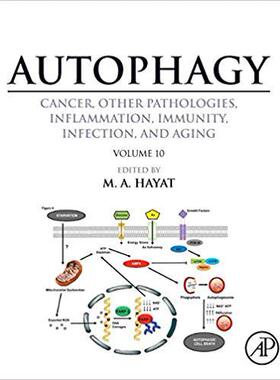 【预售】Autophagy