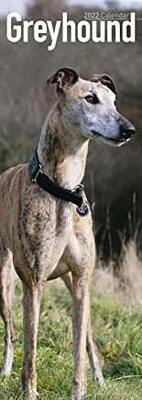 【预订】Greyhound 2022 Slim Calendar 9781839413452