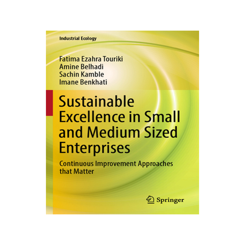 [预订]Sustainable Excellence in Small and Medium Sized Enterprises