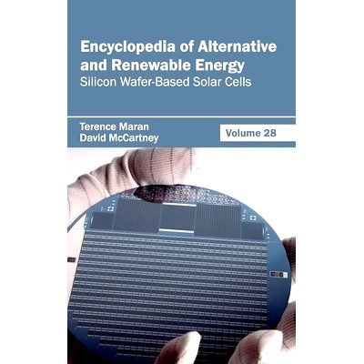 Volume 28 (Silicon Wafer-Based Solar Cel