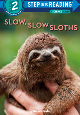 【预订】Slow, Slow Sloths