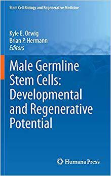 【预订】Male Germline Stem Cells: Developmental and Regenerative Potential 9781617379727