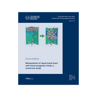 [预订]Manipulation of liquid metal foam with electromagnetic fields: a numerical study 9783944331928