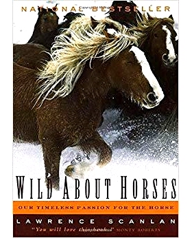 预订 Wild about Horses: Our Timeless Passion for the Horse: Our Timeless Passion for the Horse 对马狂热：我们对马的永恒