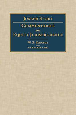 [预订]Commentaries on Equity Jurisprudence 9781584775942