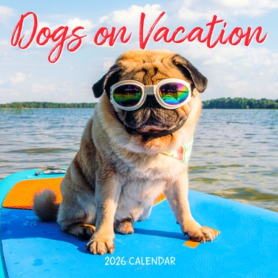 度假狗狗2026年挂历 旅行风光 宠物摄影 进口日历 英文原版 Dogs on Vacation Wall Calendar 2026
